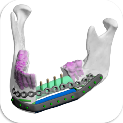 Reconstructive Facial Plastic Surgery